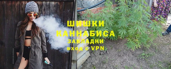 ГАЛЛЮЦИНОГЕННЫЕ ГРИБЫ Алзамай