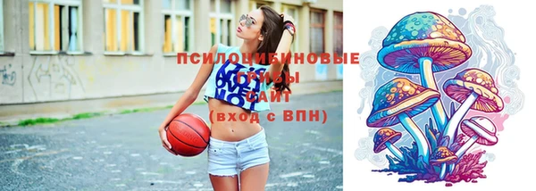 ГАЛЛЮЦИНОГЕННЫЕ ГРИБЫ Алзамай