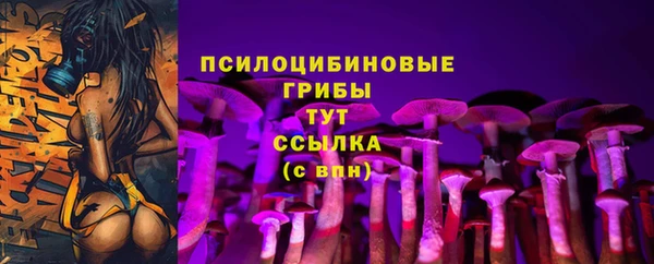 каннабис Алексеевка
